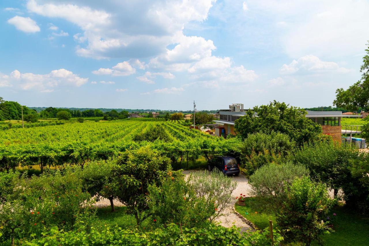 Sant'Andrea Agriturismo Con Cantina Martignago Vignaioli Asolo Prosecco Docg Wines Maser Zewnętrze zdjęcie